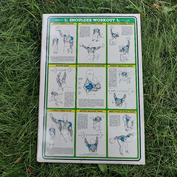 1985 Vintage Bruce Algra Shoulder Workout Fitness Chart Series 16" x 11". - Picture 1 of 7